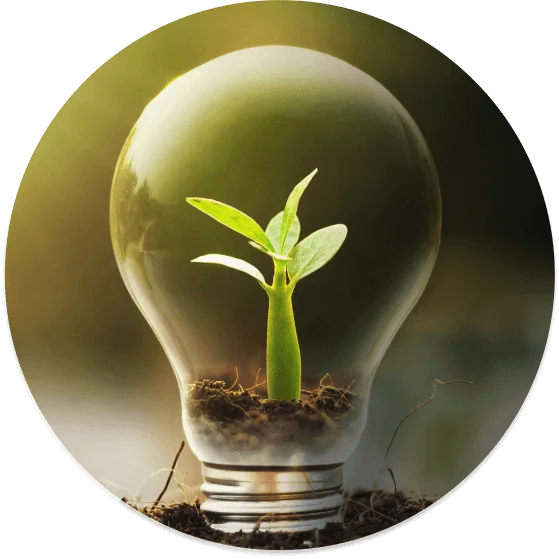 Sustainable Energy